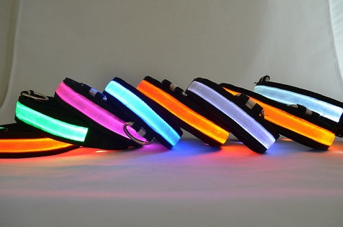 Dog Collar: LED Light Up Collar