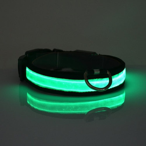 Dog Collar: LED Light Up Collar