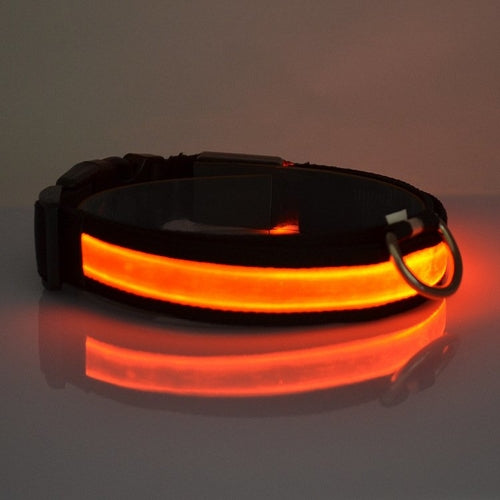 Dog Collar: LED Light Up Collar